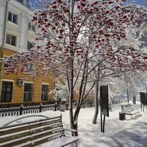 «Мой край – мое богатство». Фотографии и серии фотографий объектов живой и неживой природы, пейзажей Кузбасса