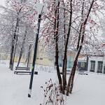 «ФотоДидакт». Фотографии и серии фотографий объектов живой и неживой природы , которые могут быть использованы в качестве дидактического материала на занятиях.