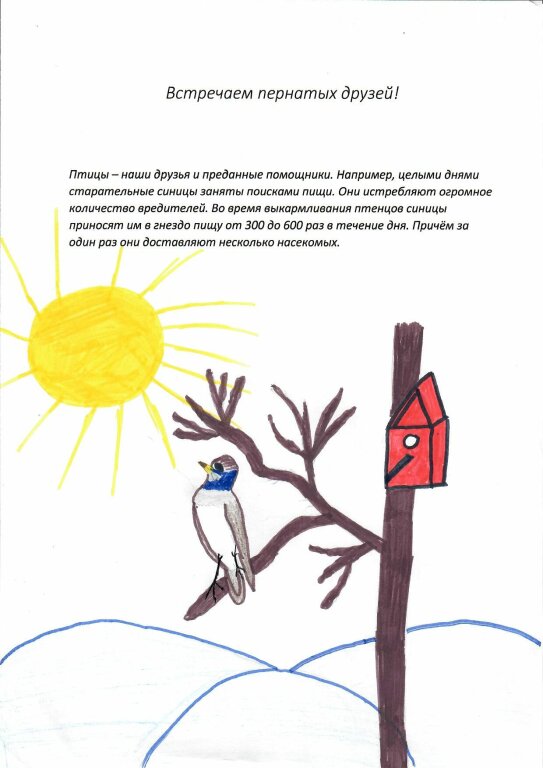 Подведены итоги экологической акции «Птицеград»  Максимова Даша, обучающаяся МБОУ СОШ № 2, руководитель Золотарева Светлана Николаевна
